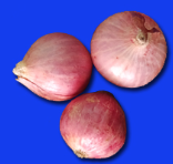 onion