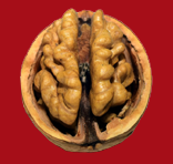 walnut